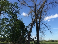 stormschade