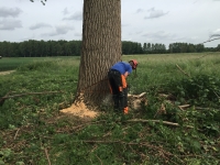 stormschade